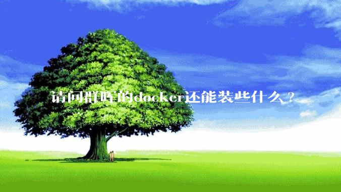 请问群晖的docker还能装些什么?