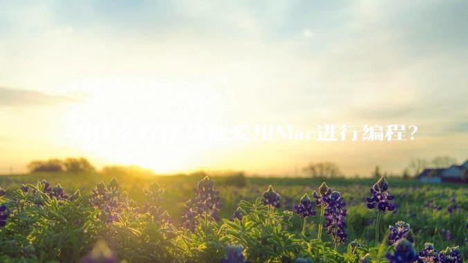 为什么程序员独爱用Mac进行编程？