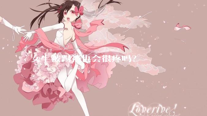 女生被踢裆也会很疼吗？